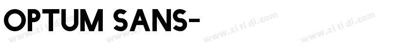 Optum sans字体转换